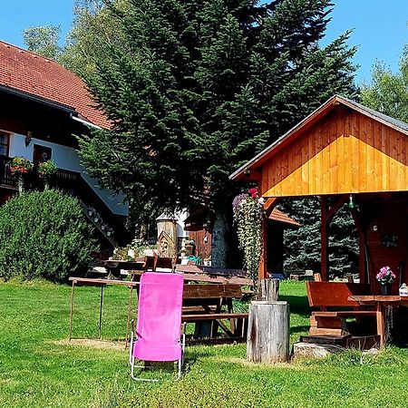 Ubytovani V Sumavskem Dome Nové Hute Exterior foto