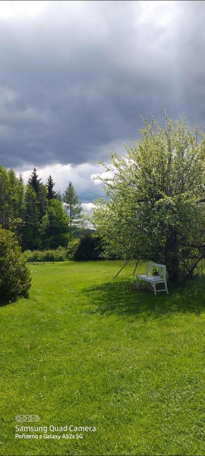 Ubytovani V Sumavskem Dome Nové Hute Exterior foto