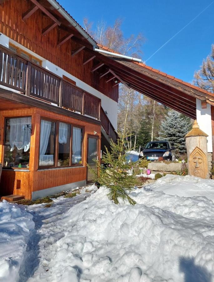 Ubytovani V Sumavskem Dome Nové Hute Exterior foto