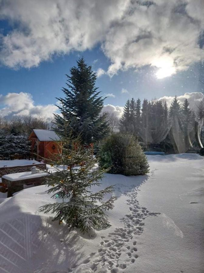 Ubytovani V Sumavskem Dome Nové Hute Exterior foto