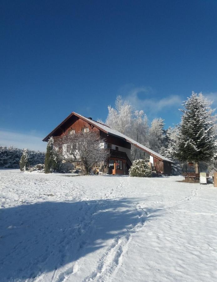 Ubytovani V Sumavskem Dome Nové Hute Exterior foto