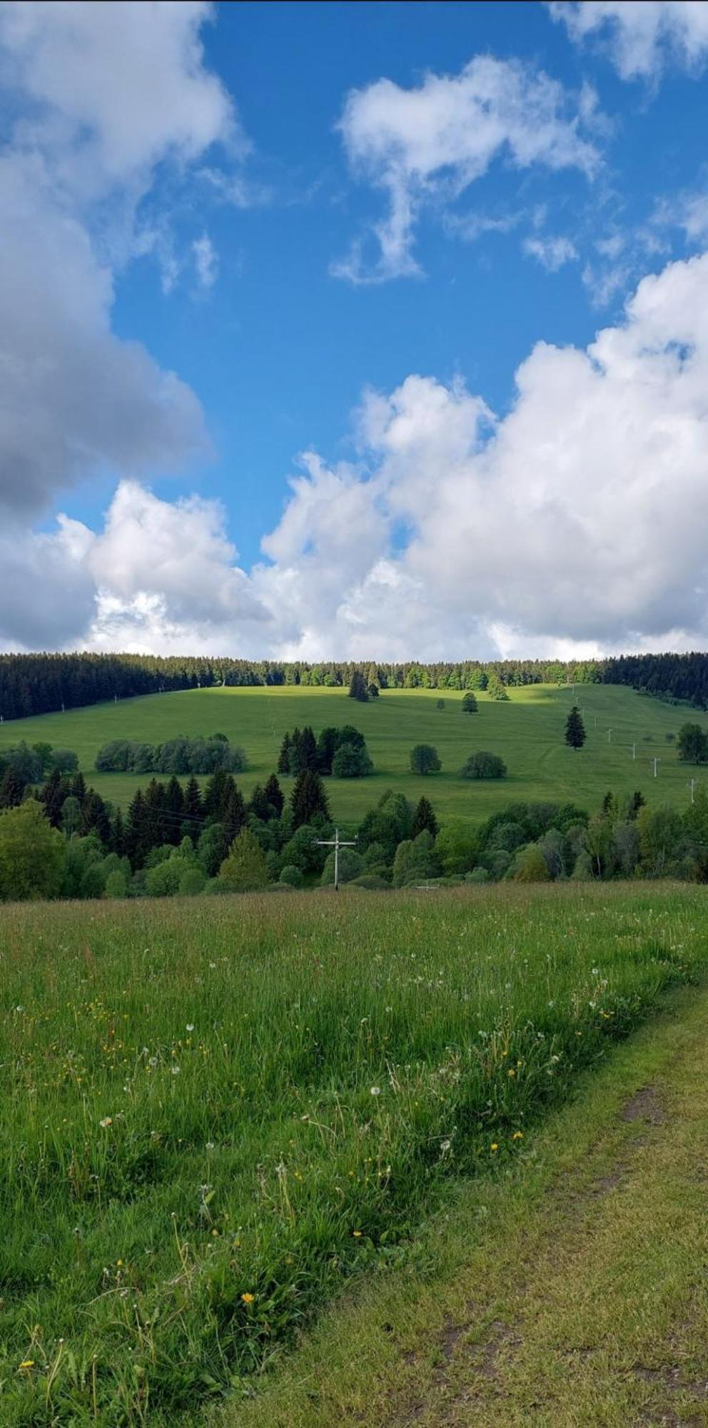 Ubytovani V Sumavskem Dome Nové Hute Exterior foto